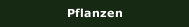 Pflanzen