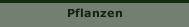 Pflanzen
